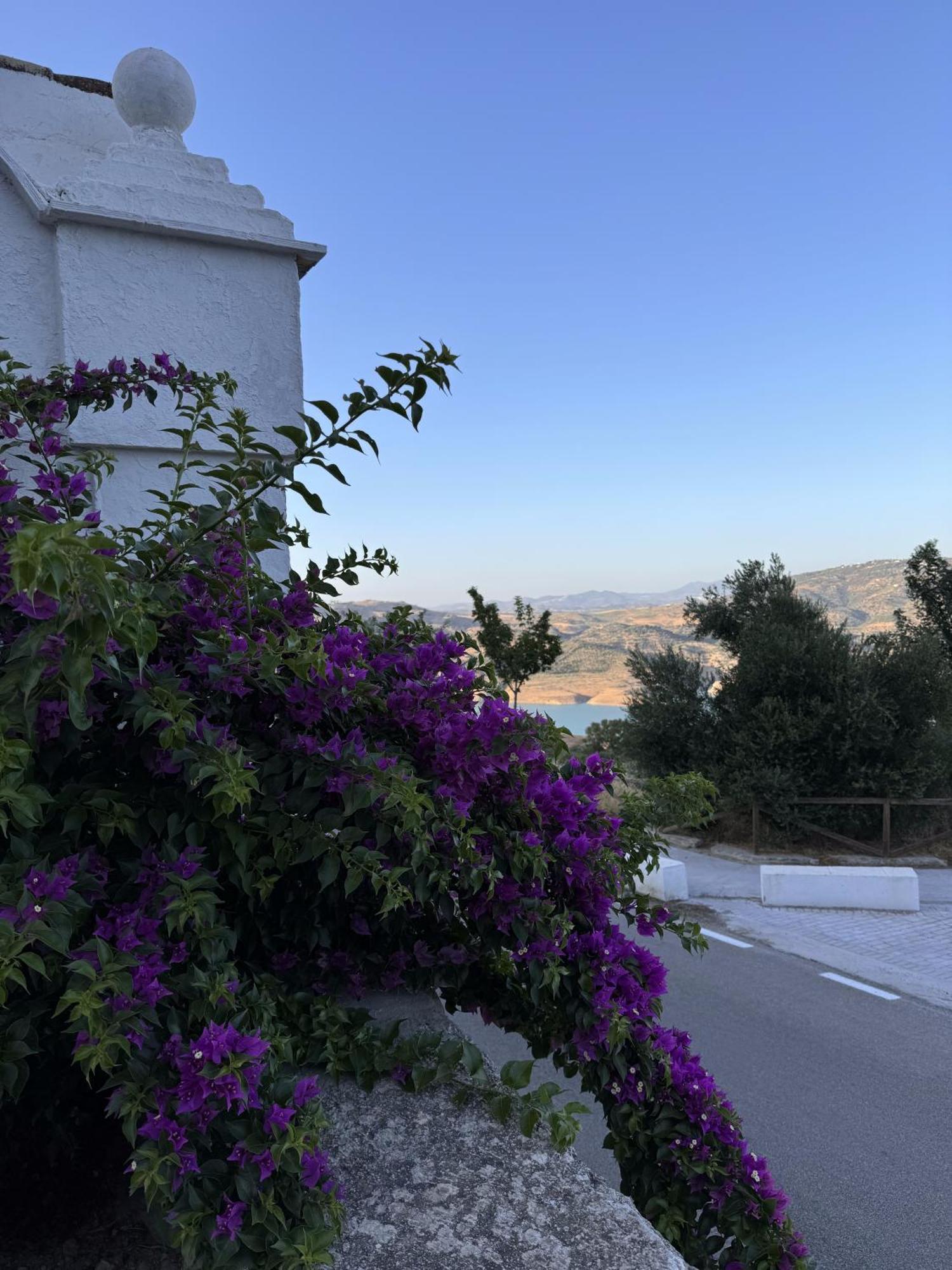 Finca Luca Oliva Zahara De La Sierra Zewnętrze zdjęcie